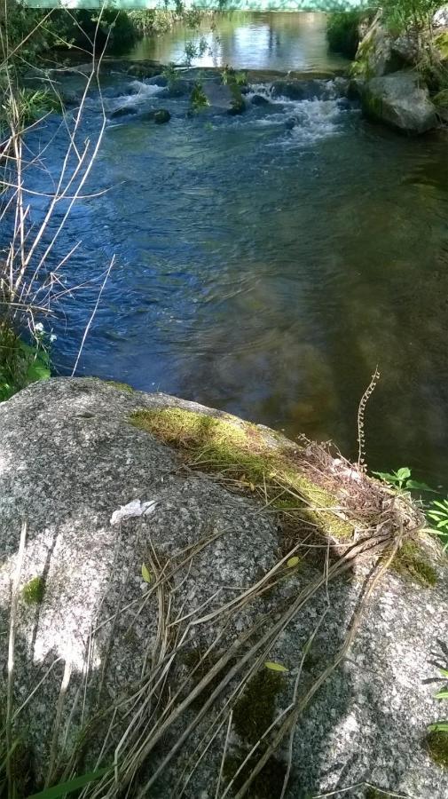 Les Gites De L Etang :Studio A 20 Mn De Gerardmer La Chapelle  Exterior foto